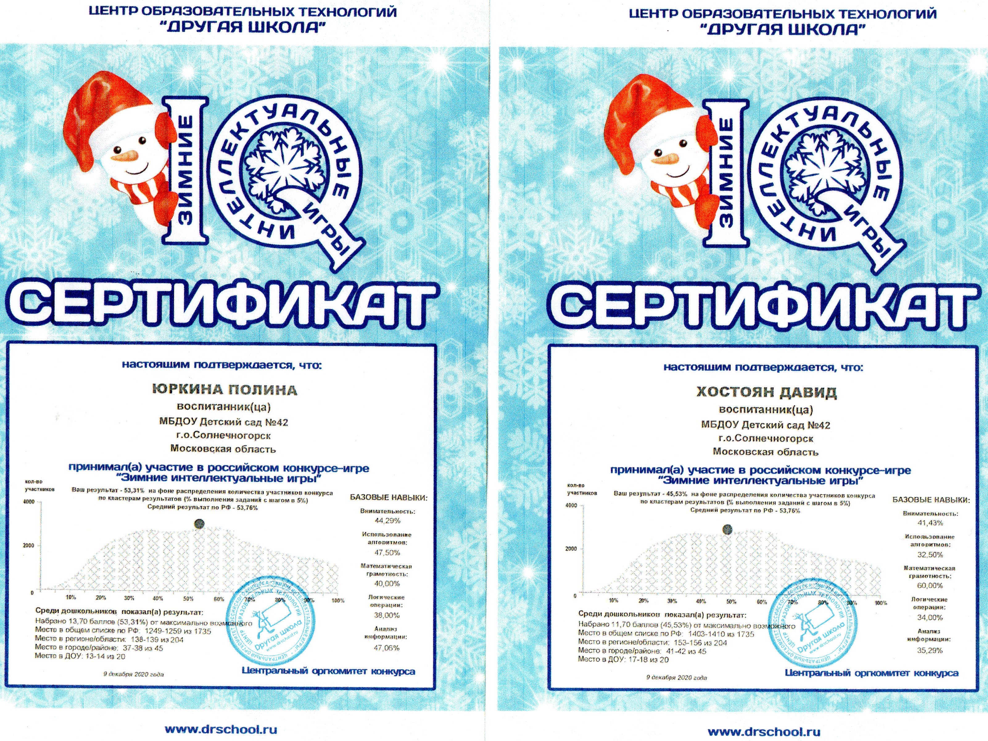 сертификат зимние интеллектуальные игры. зимние интеллектуальные игры. зимние интеллектуальные игры 2023. зимние интеллектуальные игры. зимний сертификат.